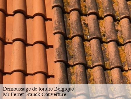 Demoussage de toiture Belgique