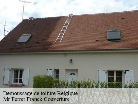 Demoussage de toiture Belgique