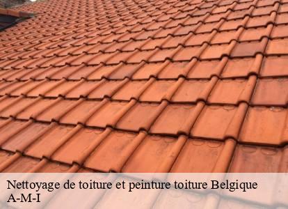 Nettoyage de toiture et peinture toiture  