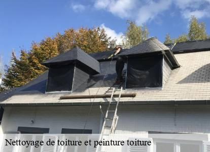 Nettoyage de toiture et peinture toiture  