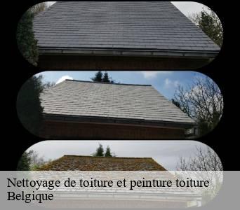 Nettoyage de toiture et peinture toiture  