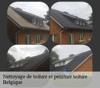 Nettoyage de toiture et peinture toiture  