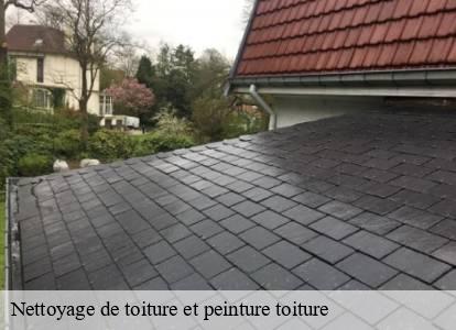 Nettoyage de toiture et peinture toiture  