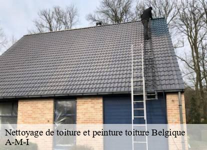 Nettoyage de toiture et peinture toiture  