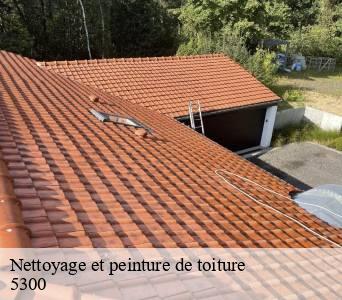 Nettoyage et peinture de toiture  5300