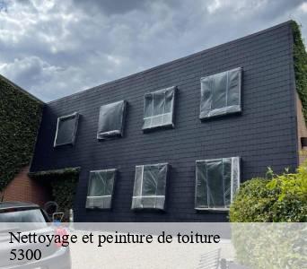 Nettoyage et peinture de toiture  5300